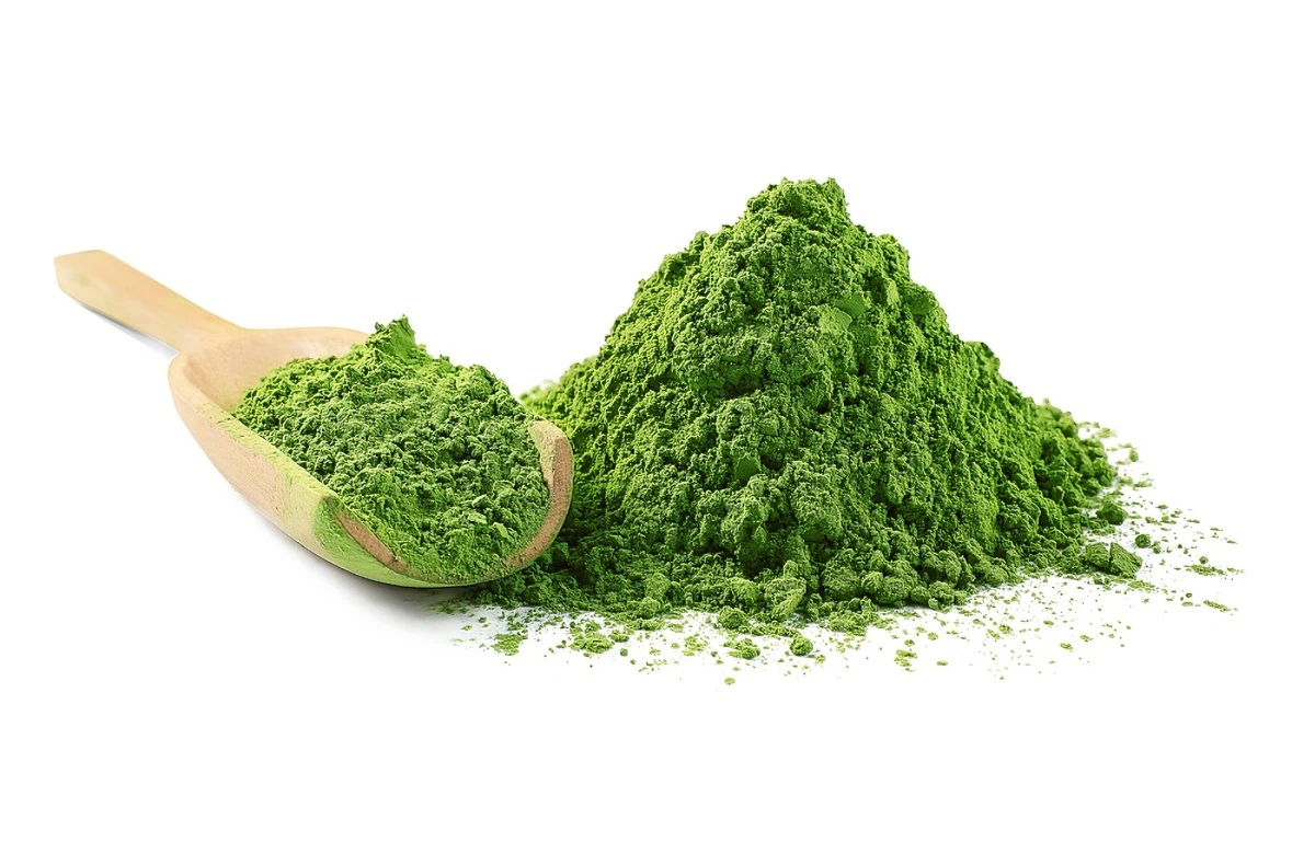 Chlorella